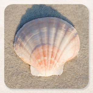 Sea Shell Laying On Sandy Beach Square Paper Coaster