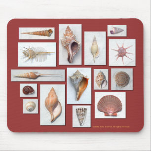 Sea Shell Mouse Pad