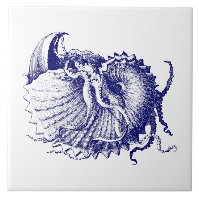 Sea shell Nautilus Blue & White Ceramic Tile (Front)