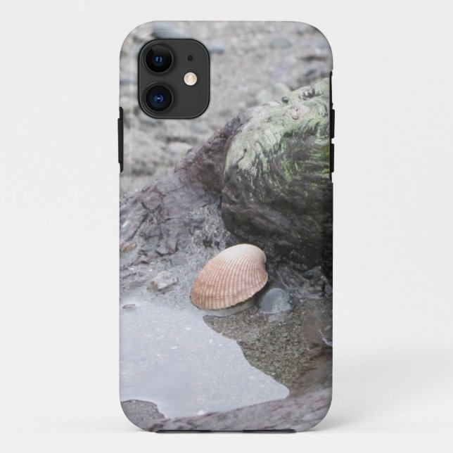 Sea Shell on Driftwood Case-Mate iPhone Case (Back)