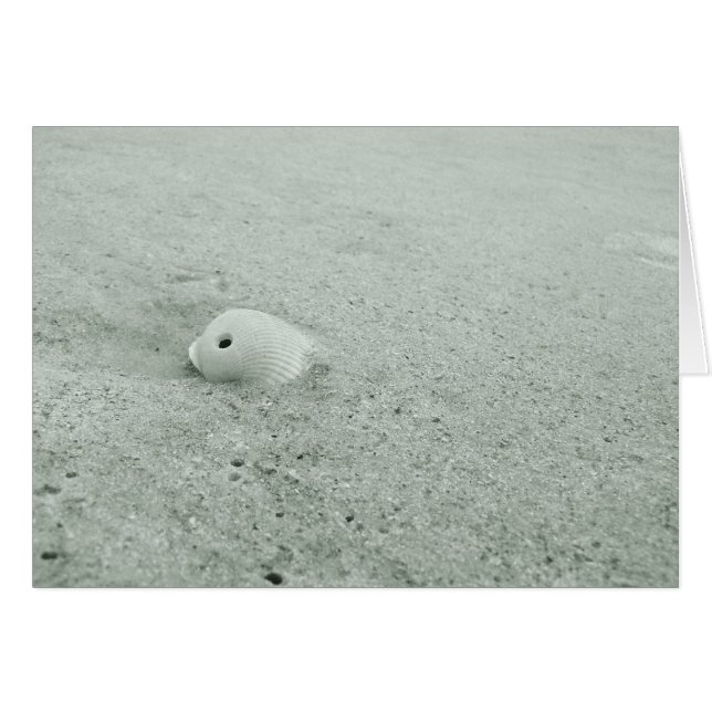 Sea Shell Photo Cards (Front Horizontal)