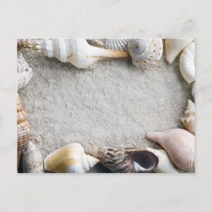 Sea Shell Sand Background - Beach Shells Customise Postcard
