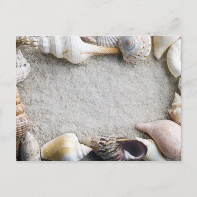 Sea Shell Sand Background - Beach Shells Customise Postcard (Front)