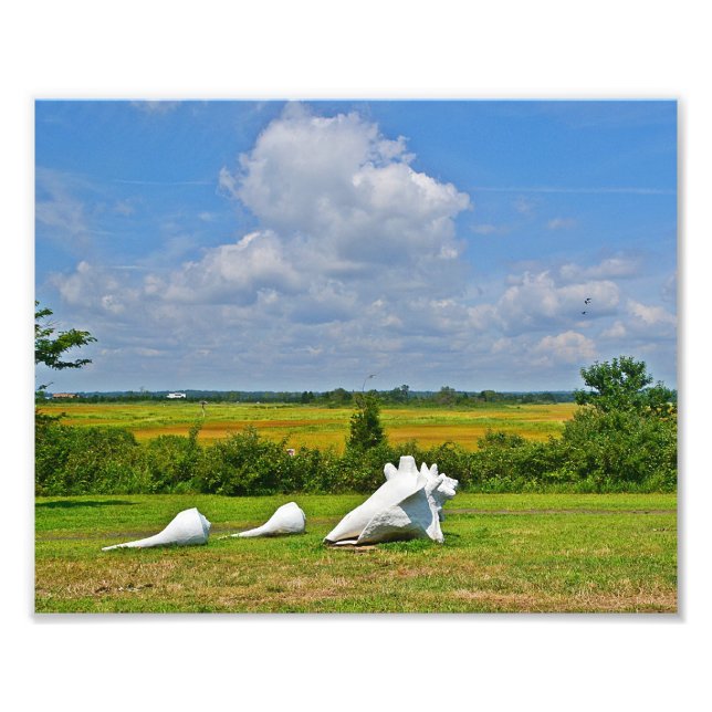 Sea Shell Sculpture Photo Print (Front)