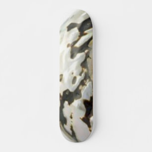 Sea Shell Skateboard