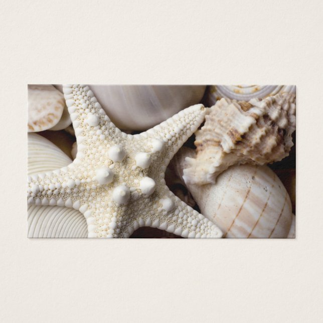 Sea Shell Starfish Background - Beach Shells (Front)