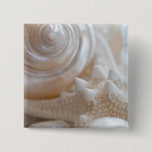 Sea Shell & Starfish Background - Beach Shells 15 Cm Square Badge