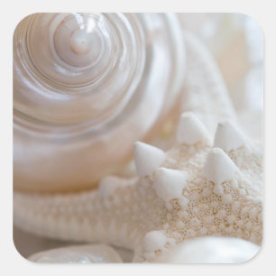 Sea Shell & Starfish Background - Beach Shells Square Sticker
