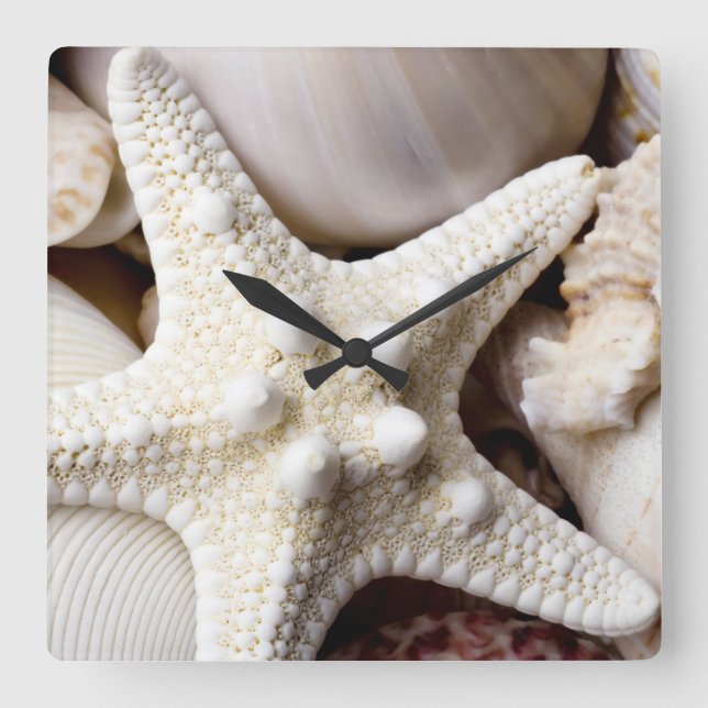 Sea Shell Starfish Background - Beach Shells Square Wall Clock (Front)