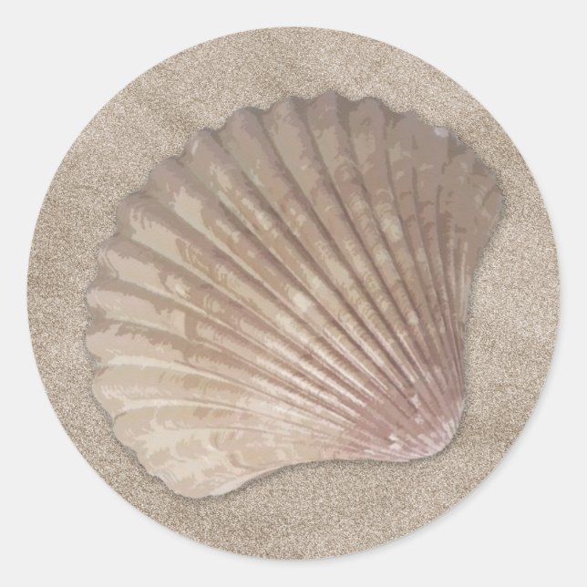 Sea Shell Stickers (Front)