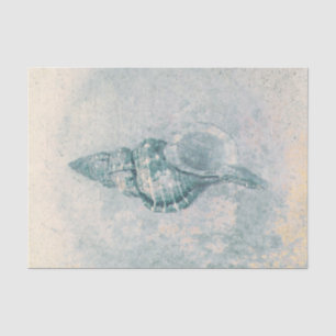 Sea Shell Teal Beige Vintage Ocean Beach Texture Tissue Paper