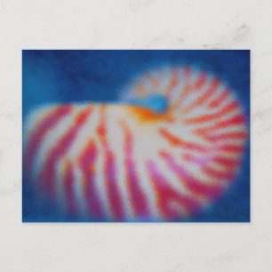 Sea Shell under Water Postcard