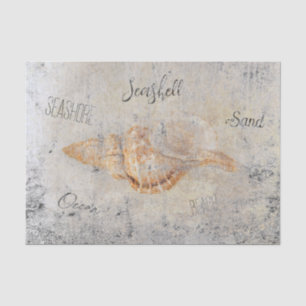 Sea Shell Vintage Antique Beach Ephemera Texture Tissue Paper