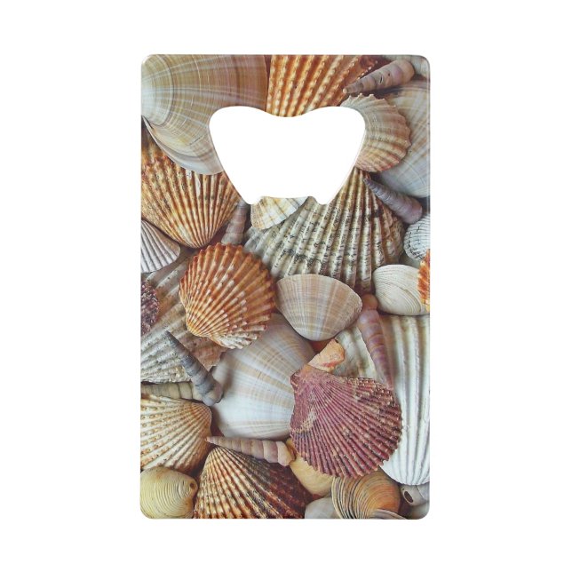 Sea Shells (Front)