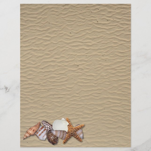 Sea shells (Front)