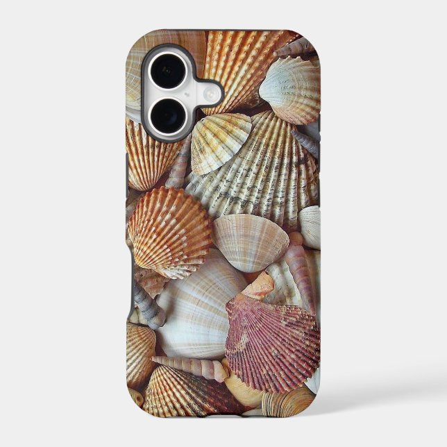 Sea Shells (Back)