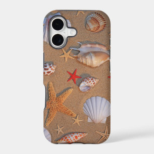 Sea Shells And Starfish Arranged On Sand