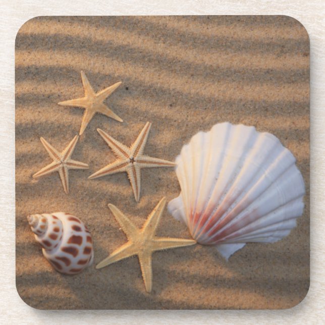 Sea Shells And Starfish Coaster (Front)