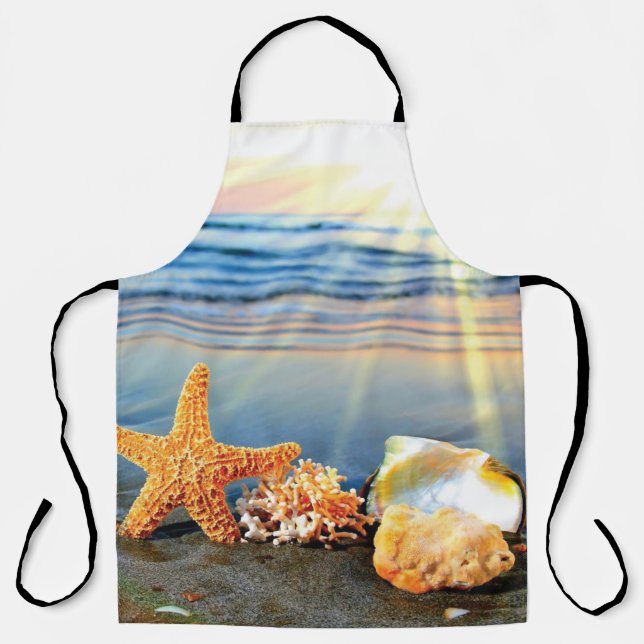 Sea shells and starfish on beach apron (Front)
