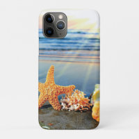 Sea shells and starfish on beach