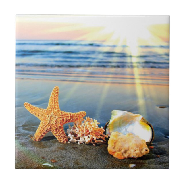 Sea shells and starfish on beach ceramic tile (Front)