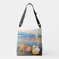 Sea shells and starfish on beach