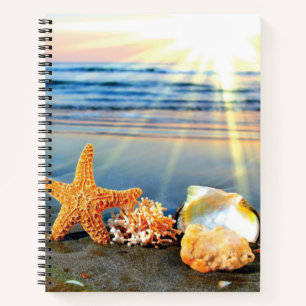 Sea shells and starfish on beach notebook