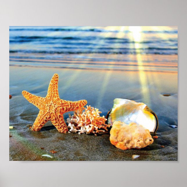 Sea shells and starfish on beach poster (Front)