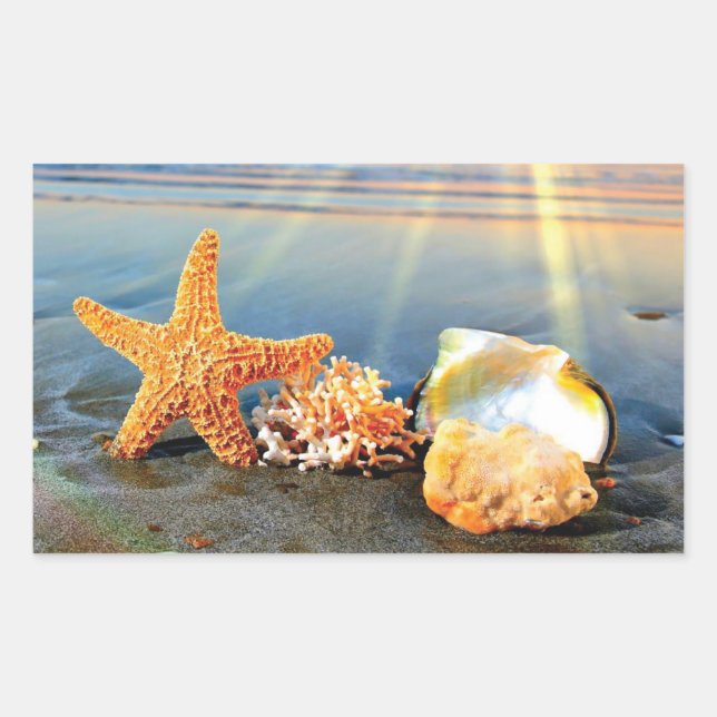 Sea shells and starfish on beach rectangular sticker (Front)