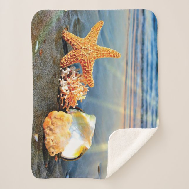 Sea shells and starfish on beach sherpa blanket (Front)