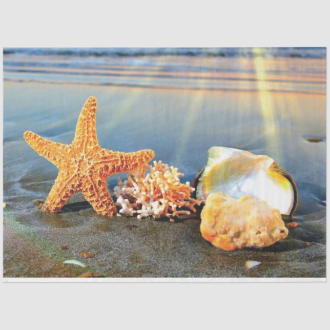 Sea shells and starfish on beach tissue paper (Front)