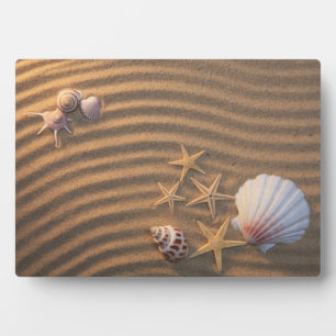Sea Shells And Starfish Plaque