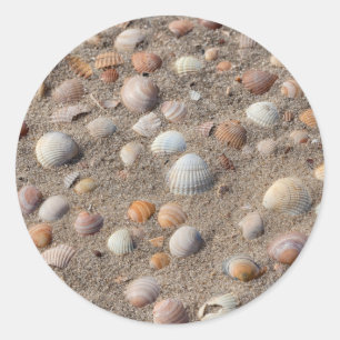 Sea shells at the beach classic round sticker