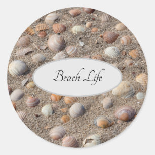 Sea shells at the beach photo with Beach life text Classic Round Sticker