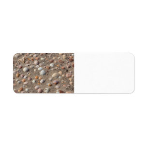 Sea shells at the beach return address label