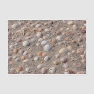 Sea  shells at the beach tissue paper