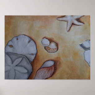 Sea Shells at the Seashore Poster