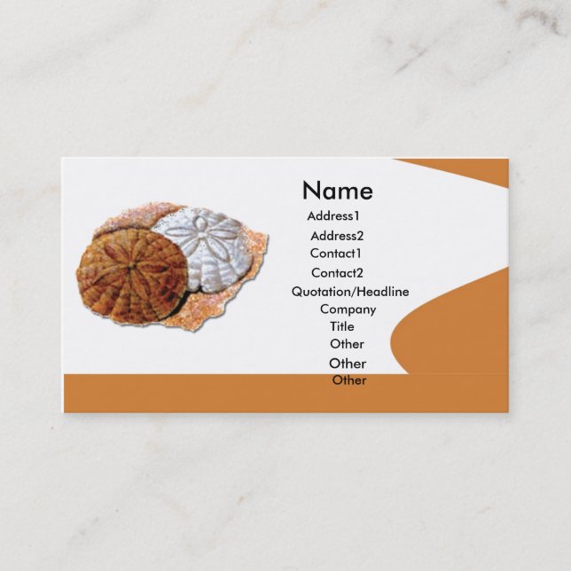 Sea Shells Business card (Front)