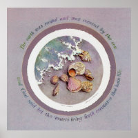 SEA SHELLS by SHARON SHARPE
