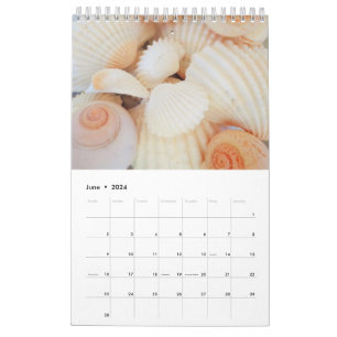Sea Shells Calendar 2024 Exotic Tropical Romantic