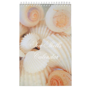 Sea Shells Calendar Exotic Tropical Romantic