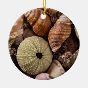 Sea Shells Ceramic Ornament