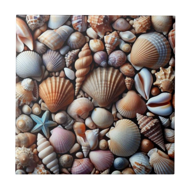 Sea Shells Ceramic Tile (Front)