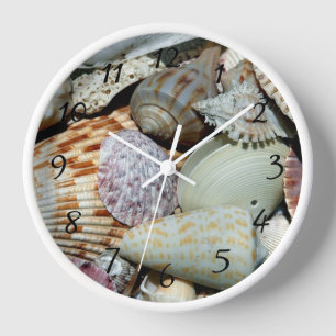 Sea Shells Clock