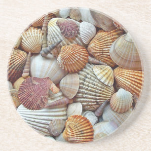 Sea Shells Coaster