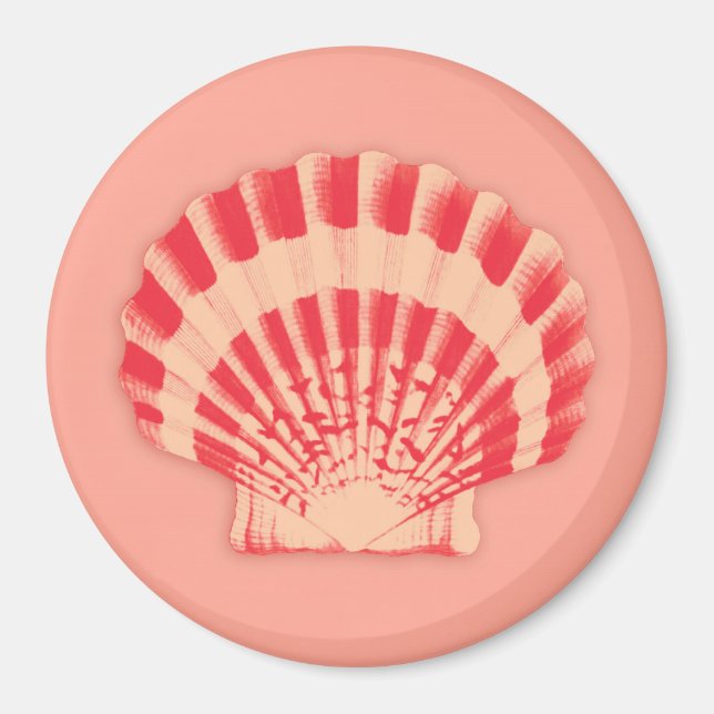 Sea shells - coral and peach magnet (Front)