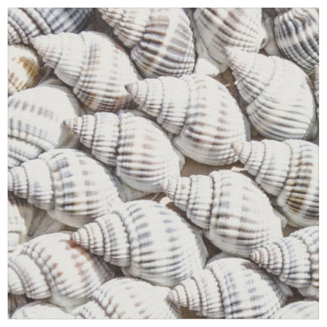 sea shells fabric (Close Up)