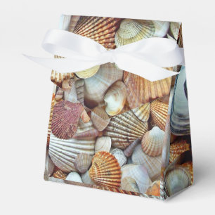 Sea Shells Favour Box