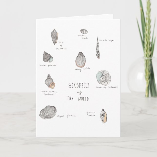 Sea Shells Greeting Card (Front)