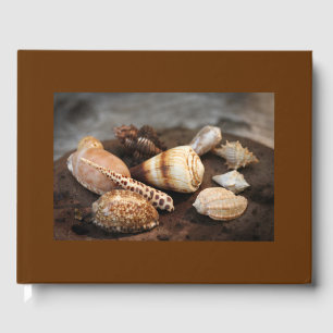 Sea Shells Guest Book